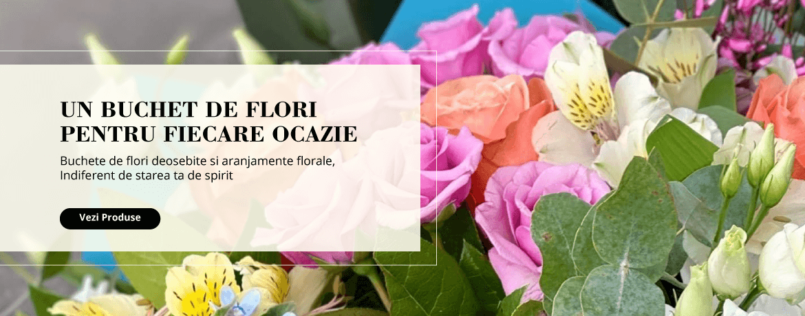 Floraria Blooms